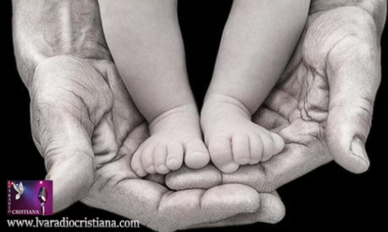 Lecturas del Presentación del Señor