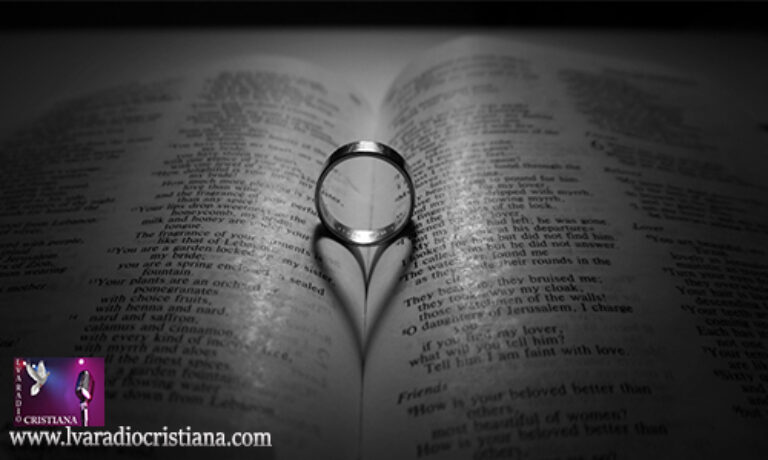 Lecturas del Viernes de la 7ª Semana del Tiempo Ordinario