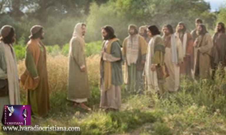 Lecturas de hoy Martes de la 7ª semana del Tiempo Ordinario