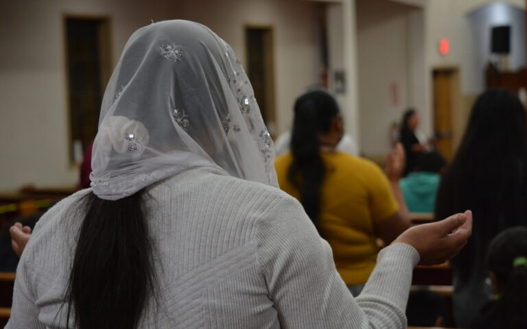 Servicio Virtual/  Virtual Service